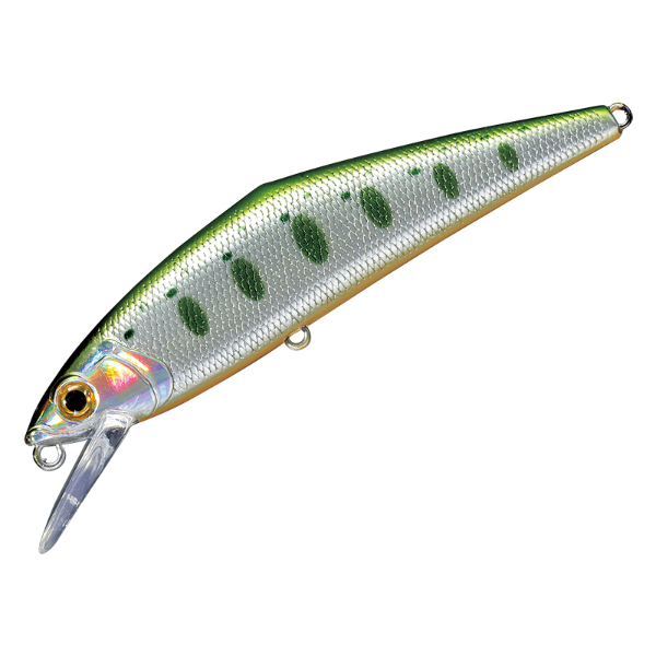 D-コンタクト 85 アワビ(51 グリーンヤマメ)